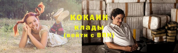 прущая мука Дмитриев