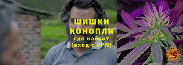 трава Дмитров