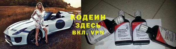 прущая мука Дмитриев