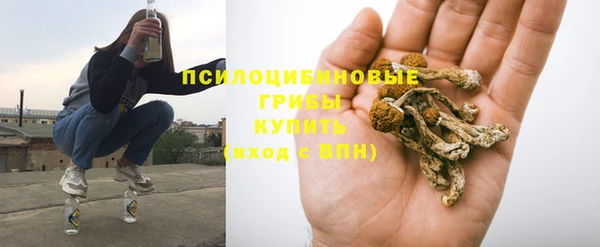 прущая мука Дмитриев