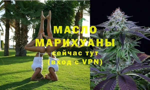 прущая мука Дмитриев
