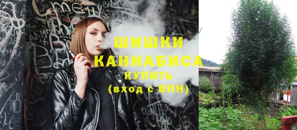 прущая мука Дмитриев