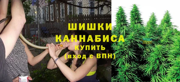 spice Дмитровск