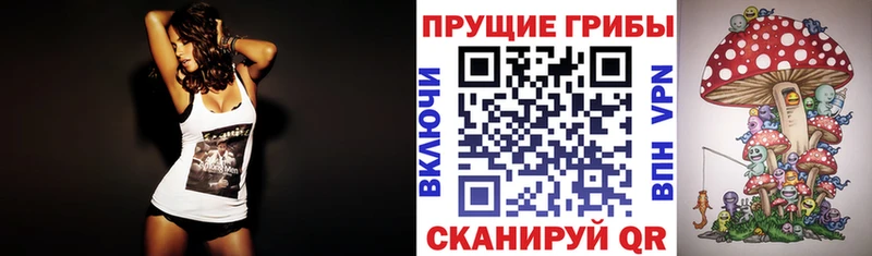 Купить где  Орехово-Зуево  Псилоцибиновые грибы мицелий 