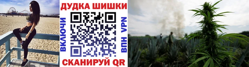 Купить закладки  Орехово-Зуево  Каннабис Bruce Banner 